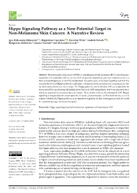 Hippo Signaling Pathway As a New Potential Target in Non-Melanoma Skin Cancers: a Narrative Review