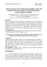 Texto Completo