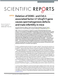 Deletion of DDB1- and CUL4- Associated Factor-17 (Dcaf17) Gene