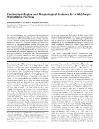 Electrophysiological and Morphological Evidence for a Gabaergic Nigrostriatal Pathway