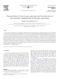 Characterization of Innexin Gene Expression and Functional Roles of Gap-Junctional Communication in Planarian Regeneration