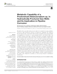 Metabolic Capability of a Predominant Halanaerobium Sp. in Hydraulically Fractured Gas Wells and Its Implication in Pipeline Corrosion