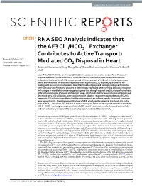 RNA SEQ Analysis Indicates That the AE3 Cl-/HCO3