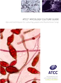 ATCC® Mycology Culture Guide Tips and Techniques for Culturing Yeasts and Filamentous Fungi