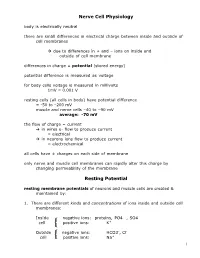Nerve Cell Physiology Resting Potential