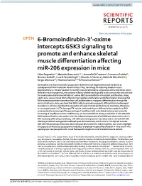 Oxime Intercepts GSK3 Signaling to Promote and Enhance Skeletal