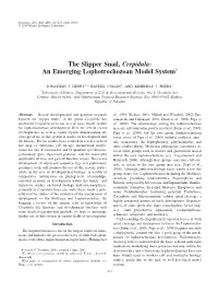 The Slipper Snail, Crepidula: an Emerging Lophotrochozoan Model System†