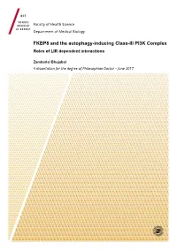 FKBP8 and the Autophagy-Inducing Class-III PI3K Complex Roles of LIR Dependent Interactions