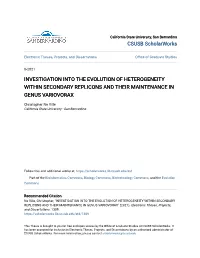 Investigation Into the Evolution of Heterogeneity Within Secondary Replicons and Their Maintenance in Genus Variovorax