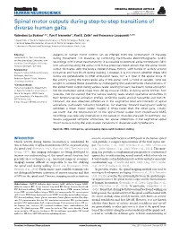 Spinal Motor Outputs During Step-To-Step Transitions of Diverse Human Gaits