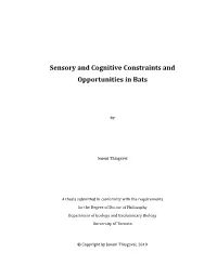 Sensory and Cognitive Constraints and Opportunities in Bats