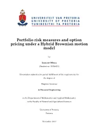 Portfolio Risk Measures and Option Pricing Under a Hybrid Brownian Motion Model