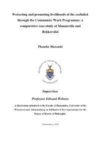Protecting and Promoting Livelihoods of the Excluded Through the Community Work Programme: a Comparative Case Study of Munsieville and Bekkersdal
