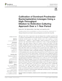 Cultivation of Dominant Freshwater Bacterioplankton Lineages Using a High-Throughput Dilution-To-Extinction Culturing Approach Over a 1-Year Period