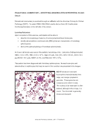 Identifying Abnormalities in Peripheral Blood Cells