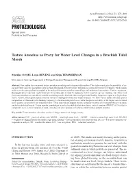 Protozoologica Special Issue: Protists in Soil Processes