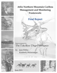 Atlin Northern Mountain Caribou Management and Monitoring Framework: Final Report 2011