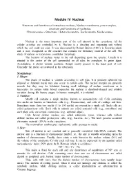Module IV Nucleus