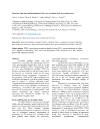 Structure, Function, and Mechanism of the Core Circadian Clock in Cyanobacteria
