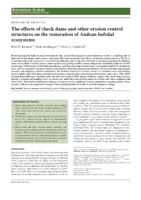 The Effects of Check Dams and Other Erosion Control Structures on the Restoration of Andean Bofedal Ecosystems Brett D