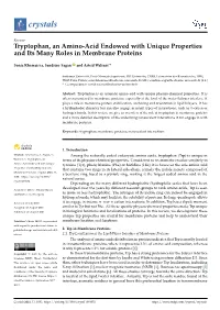 Type of the Paper (Article