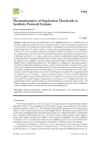 Thermodynamics of Duplication Thresholds in Synthetic Protocell Systems