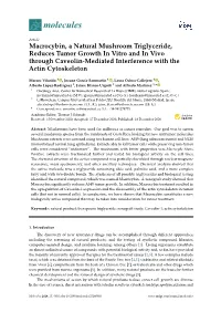 Macrocybin, a Natural Mushroom Triglyceride, Reduces Tumor Growth in Vitro and in Vivo Through Caveolin-Mediated Interference with the Actin Cytoskeleton