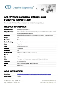 Anti-PPP3CC Monoclonal Antibody, Clone FQS21712 (DCABH-4425) This Product Is for Research Use Only and Is Not Intended for Diagnostic Use