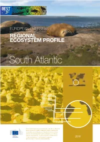 BEST Ecosystem Profile of the South Atlantic Region