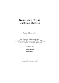 Numerically Trivial Dualizing Sheaves