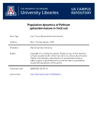 Population Dynamics of Fythium Aphanidermatum In