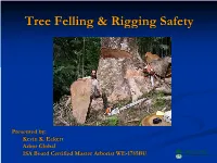 Tree Felling & Rigging Safety