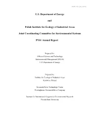 Innovative Approaches to Mercury Contamination in Soil
