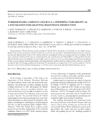 Turkish Hazel (Corylus Colurna L.) Offspring Variability As a Foundation for Grafting Rootstock Production
