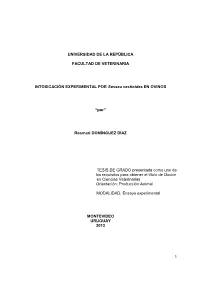 FV-30558.Pdf