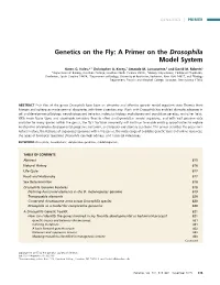 Genetics on the Fly: a Primer on the Drosophila Model System