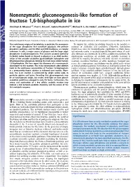 Nonenzymatic Gluconeogenesis-Like Formation of Fructose 1,6-Bisphosphate in Ice