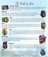 The Birds Of