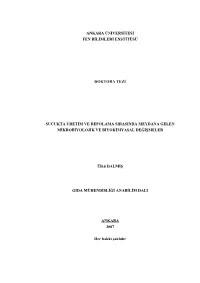 Ulkudalmis.Pdf (2.587Mb)