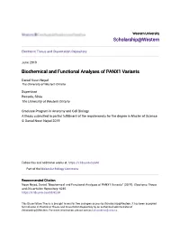 Biochemical and Functional Analyses of PANX1 Variants