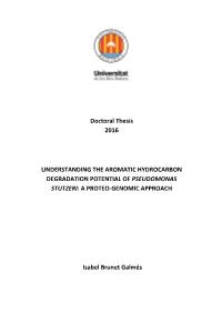 Doctoral Thesis 2016 UNDERSTANDING the AROMATIC HYDROCARBON DEGRADATION POTENTIAL of PSEUDOMONAS STUTZERI