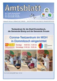 Testzentrum Für Die Stadt Dommitzsch, Die Gemeinde Elsnig Und Die Gemeinde Trossin