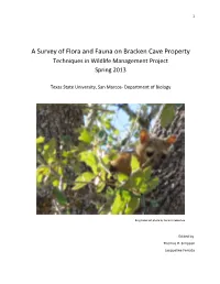 A Survey of Flora and Fauna on Bracken Cave Property Techniques in Wildlife Management Project Spring 2013