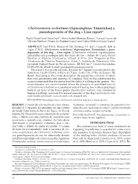 Apicomplexa: Eimeriidae) a Pseudoparasite of the Dog – Case Report*
