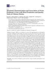 Structural Characterization and Association of Ovine Dickkopf-1 Gene with Wool Production and Quality Traits in Chinese Merino