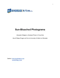 Sun-Bleached Photograms