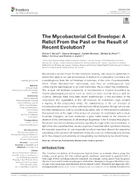The Mycobacterial Cell Envelope: a Relict from the Past Or the Result of Recent Evolution?