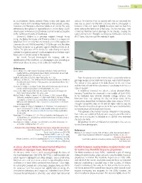 Conflict Between Nesting Shikras Accipiter Badius And