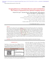 How Much Is Explained by the Optimal Foraging Theory?