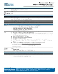 Recombinant Human Serpin D1/Heparin Cofactor II
